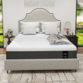 12 inch Hybrid Mattresses--Advances Vitalis