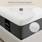12 inch Hybrid Mattresses--Advances Vitalis